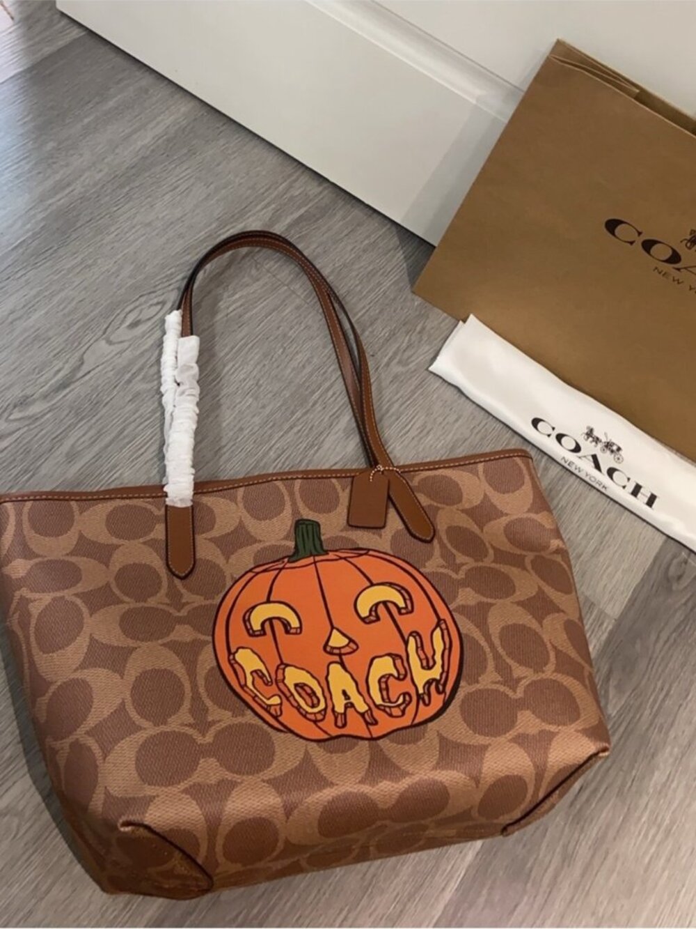 Coach Halloween Pumpkin City Tote Bag Signature Print Canvas Purse Bag NWT 2025